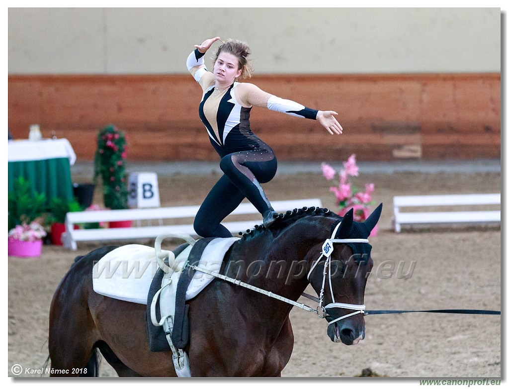  CVI Pezinok - 16th June 2018 - Individual CVIJ2*