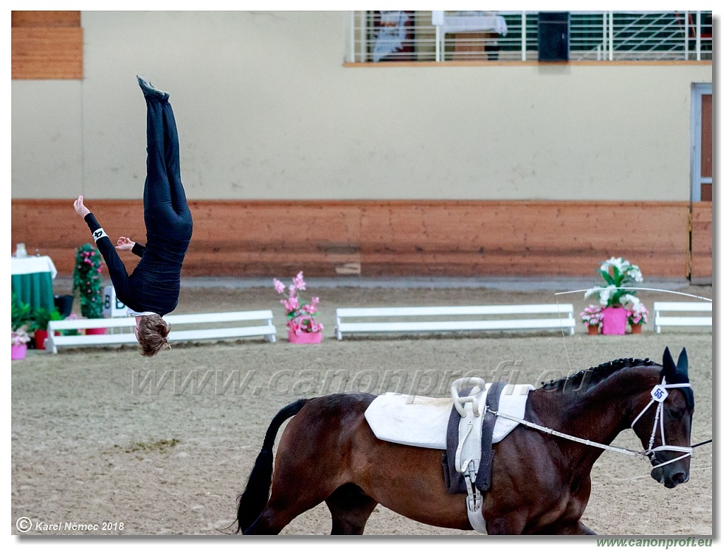  CVI Pezinok - 16th June 2018 - Individual CVIJ2*