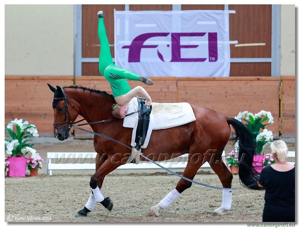  CVI Pezinok - 16th June 2018 - Individual CVIJ2*