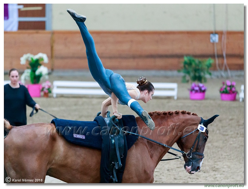  CVI Pezinok - 16th June 2018 - Individual CVIJ2*