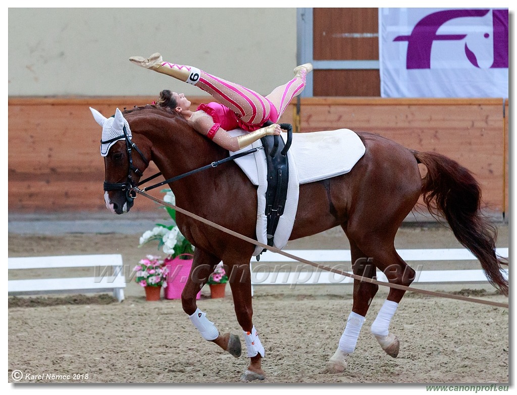  CVI Pezinok - 16th June 2018 - Individual CVIJ2*