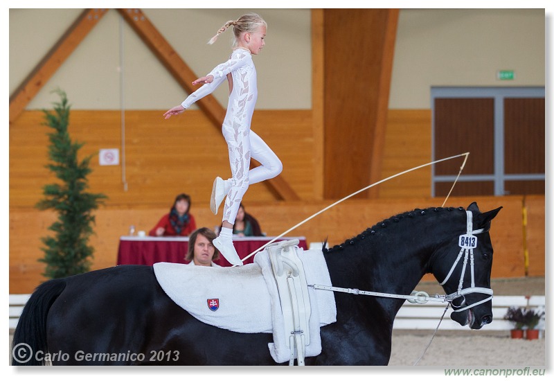 Voltíž - Vaulting 2013