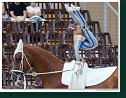 Individual vaulting - CVICH2* male and female - Compulsory test 2