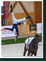 Individual vaulting male - Freestyle