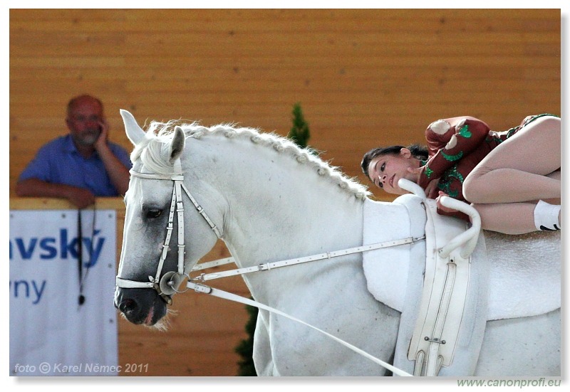 Pezinok - 17. júna 2011