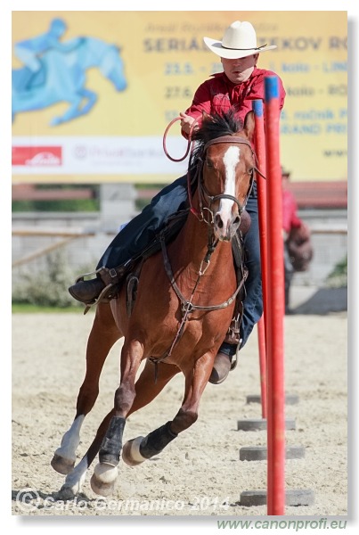 Pezinok - 10. mája 2014