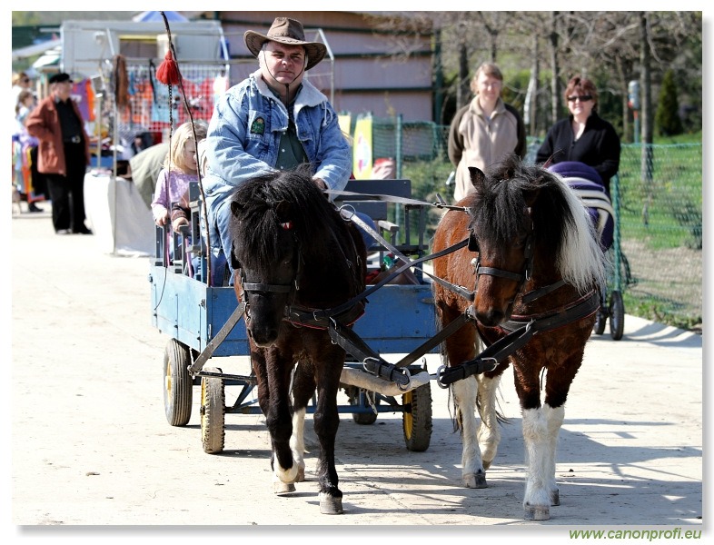 Pezinok - 17. apríla 2010