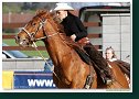 Barrel race Open