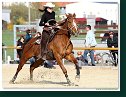 Barrel race Open