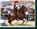 Barrel race Open