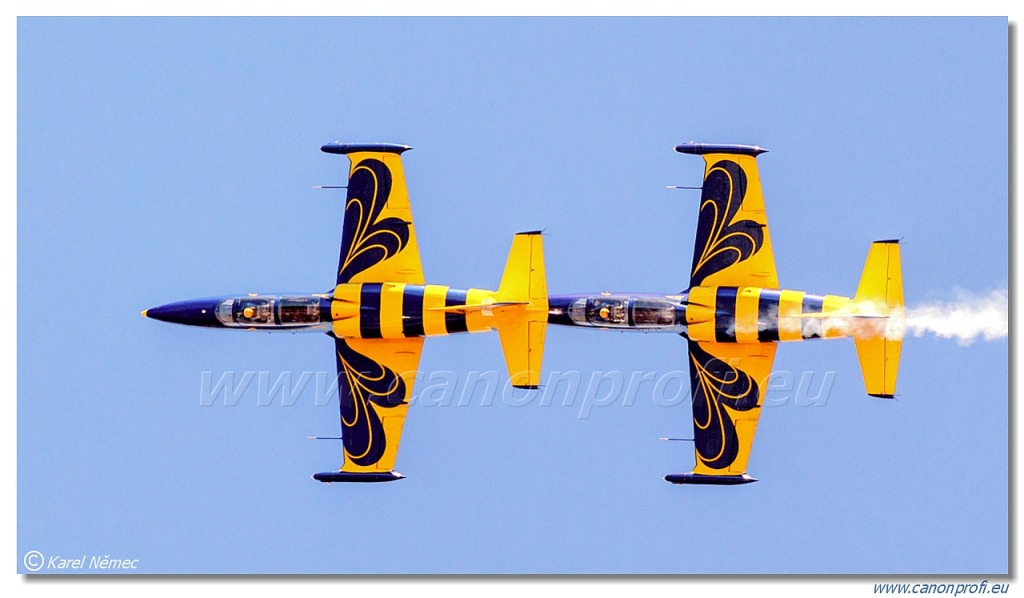 Baltic Bees Jet Team -  5x Aero L-39C Albatros