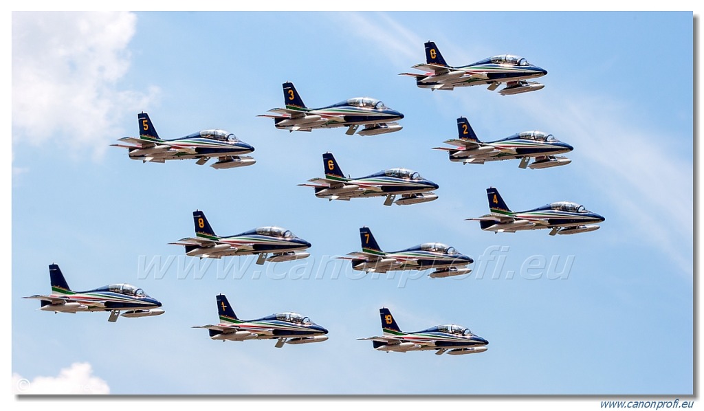 Frecce Tricolori - 9x Aermacchi MB-339-A/PAN