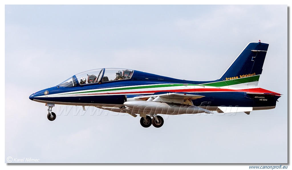 Frecce Tricolori - 9x Aermacchi MB-339-A/PAN