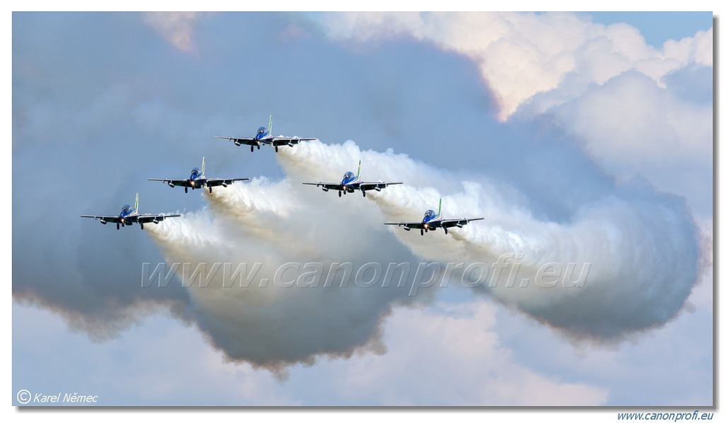 Frecce Tricolori - 9x Aermacchi MB-339-A/PAN