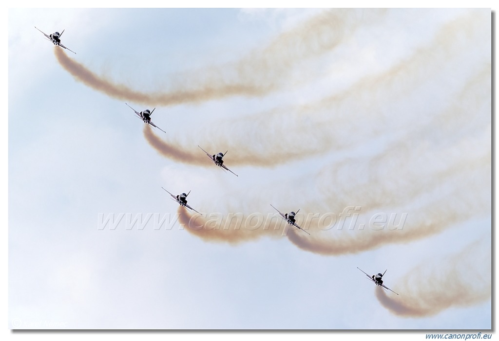 Patrouille Suisse - 6x Northrop F-5E Tiger