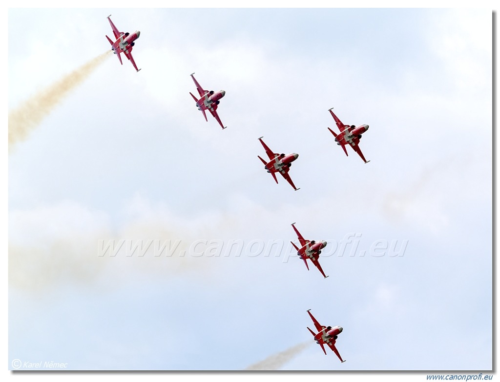 Patrouille Suisse - 6x Northrop F-5E Tiger