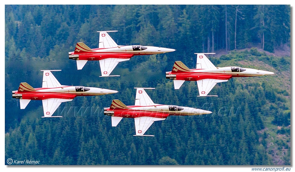 Patrouille Suisse - 6x Northrop F-5E Tiger