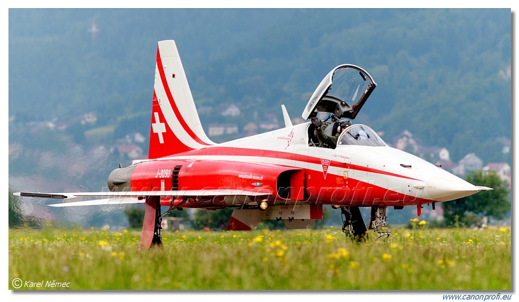 Patrouille Suisse - 6x Northrop F-5E Tiger