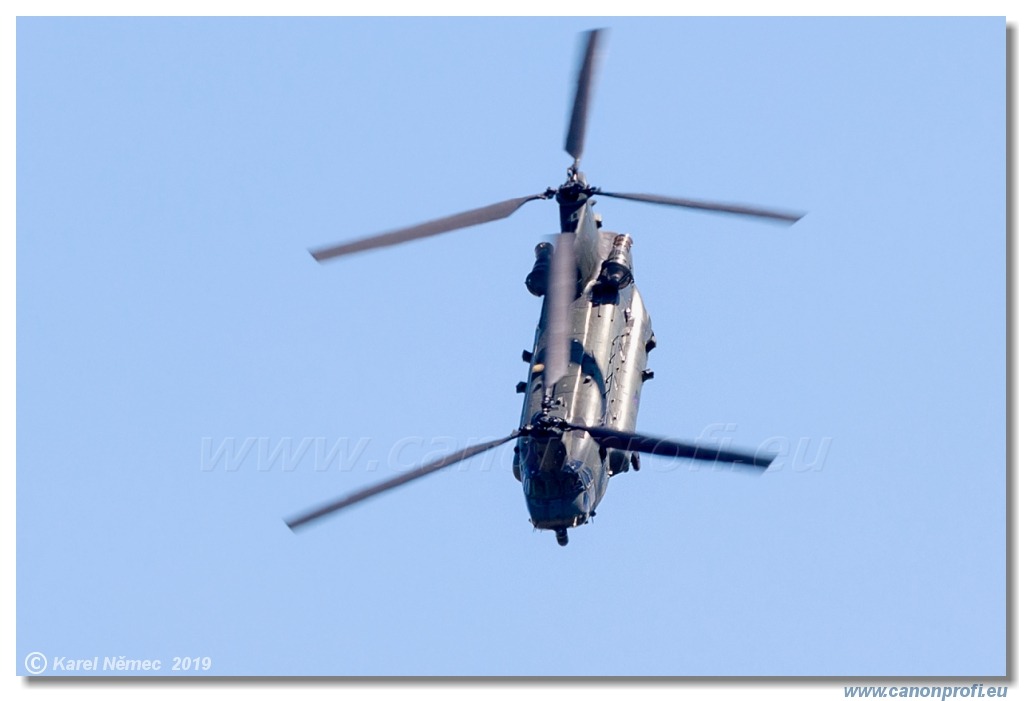 Air Festival 2019  -  RAF Chinook Display Team