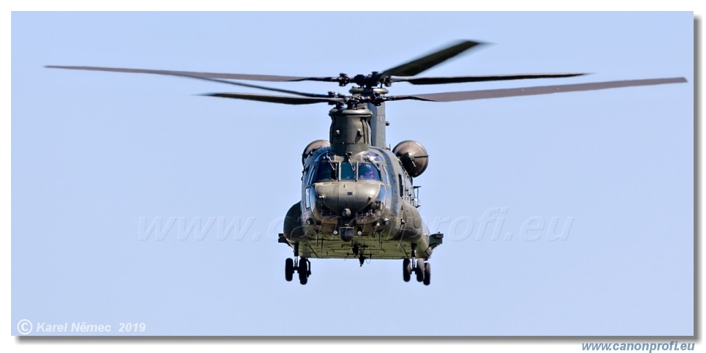 Air Festival 2019  -  RAF Chinook Display Team