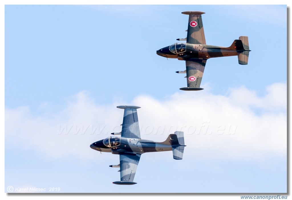 Air Festival 2019  -  Strikemaster Display UK