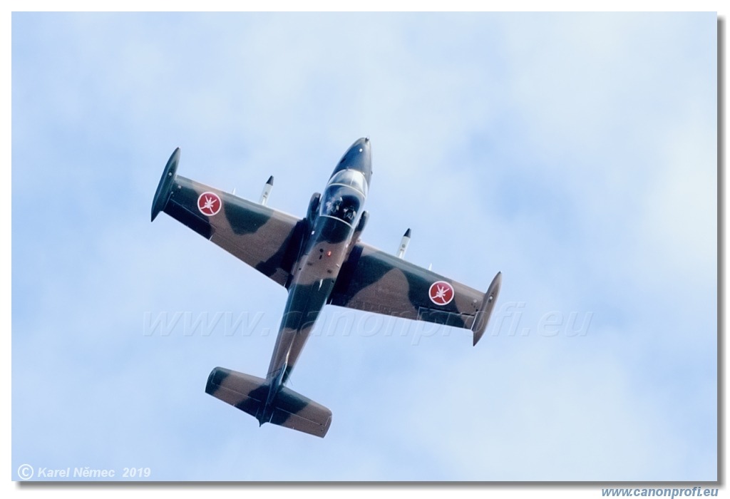 Air Festival 2019  -  Strikemaster Display UK