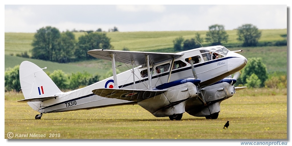 Daks over Duxford