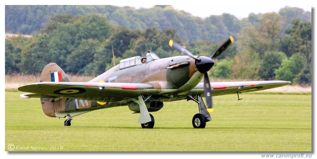 Duxford - RAF 100