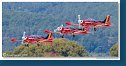 Red Devils - SIAI-Marchetti SF-260M