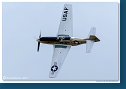 North American TF-51 Mustang  D-FTSI 