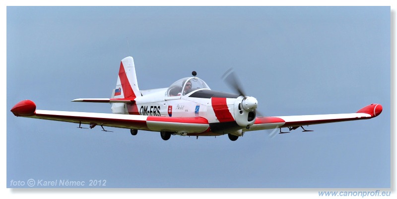 Slavnica Airshow 2012