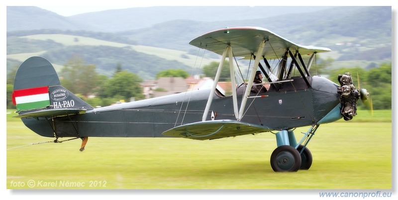 Slavnica Airshow 2012