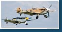 Hispano HA-1112-M1L Buchon