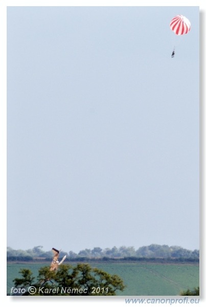 Flying Legends Duxford 2011