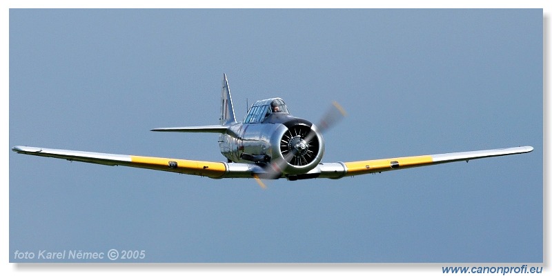 Victory Day Duxford 2005