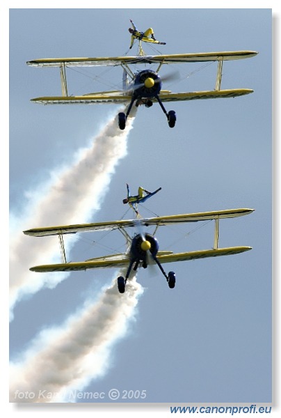 Victory Day Duxford 2005