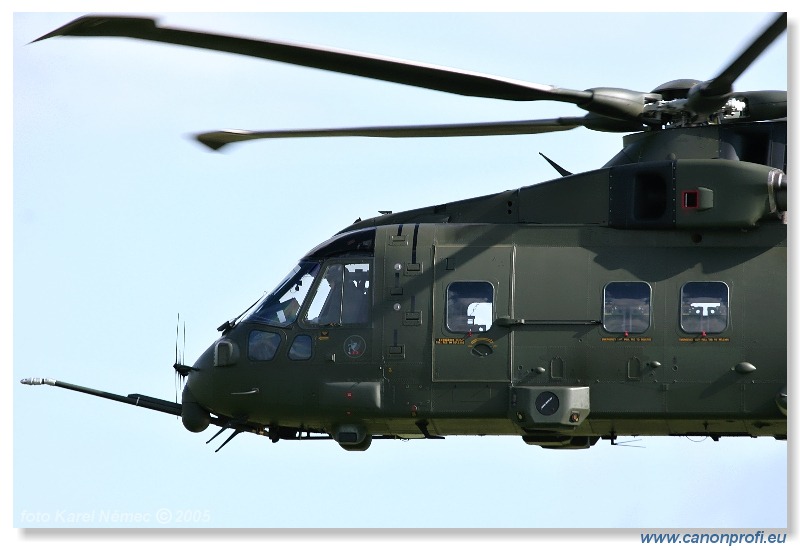 Victory Day Duxford 2005