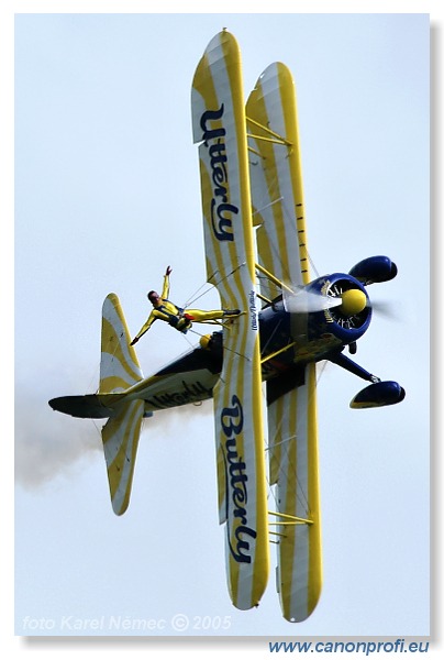 Victory Day Duxford 2005