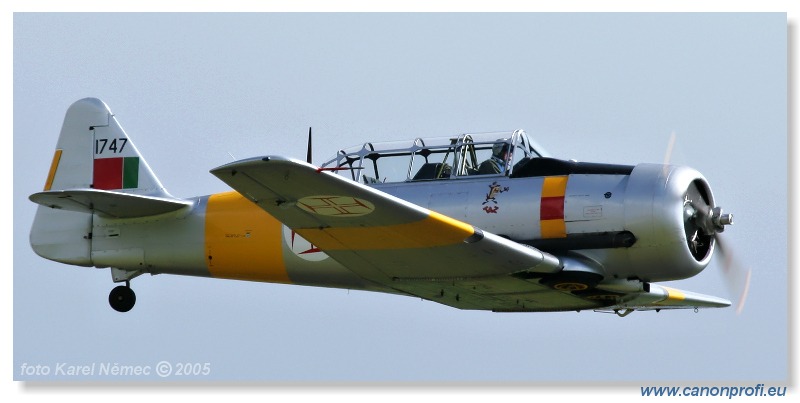 Victory Day Duxford 2005