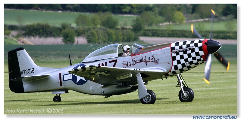 Victory Day Duxford 2005