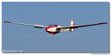 Scheibe-Flugzeugbau Bergfalke III  