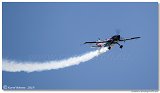 Extra 330SC
