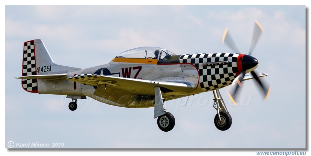 Air Festival 2019 - USAAF Fighters  