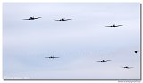 Douglas C-47 / Dc-3  Formation