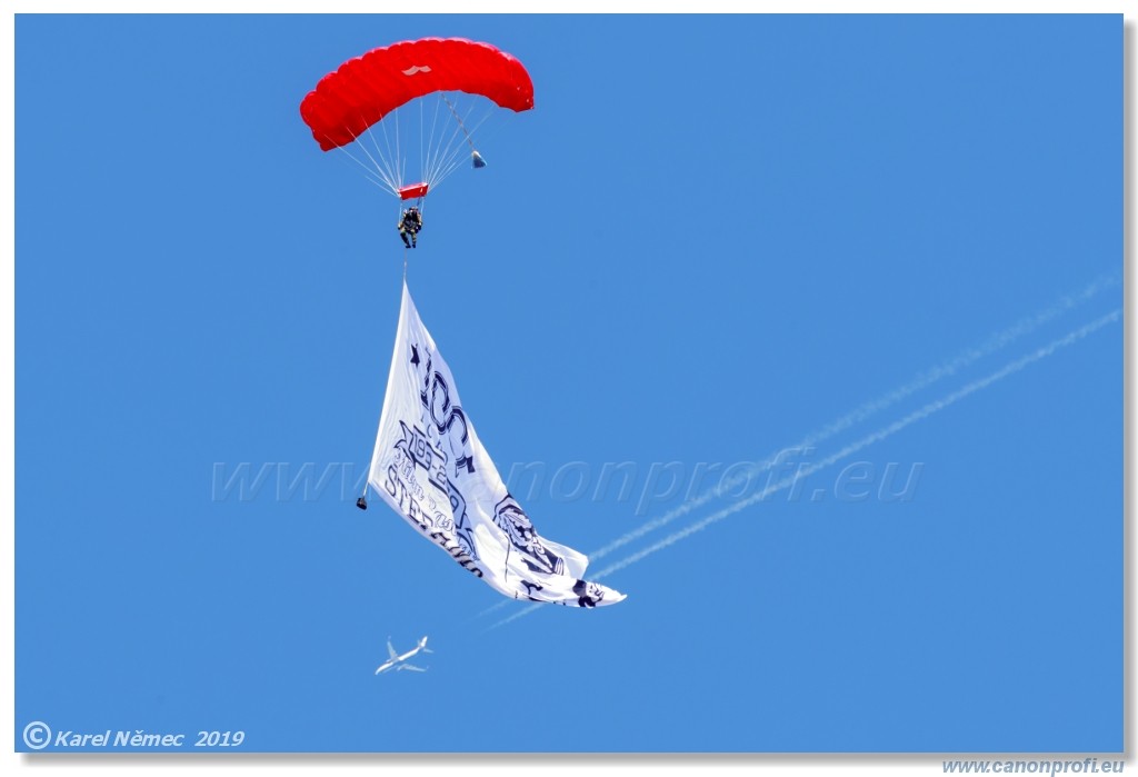  SIAF 2019