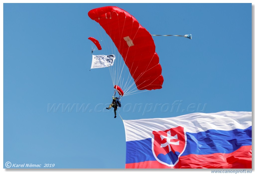  SIAF 2019