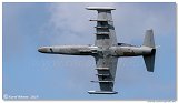 Aero L-159 ALCA