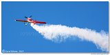 MX Aircraft MXS