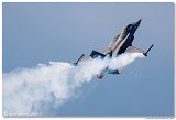 Lockheed Martin F-16CJ Fighting Falcon
