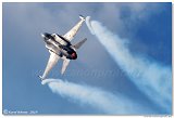 Lockheed Martin F-16CJ Fighting Falcon